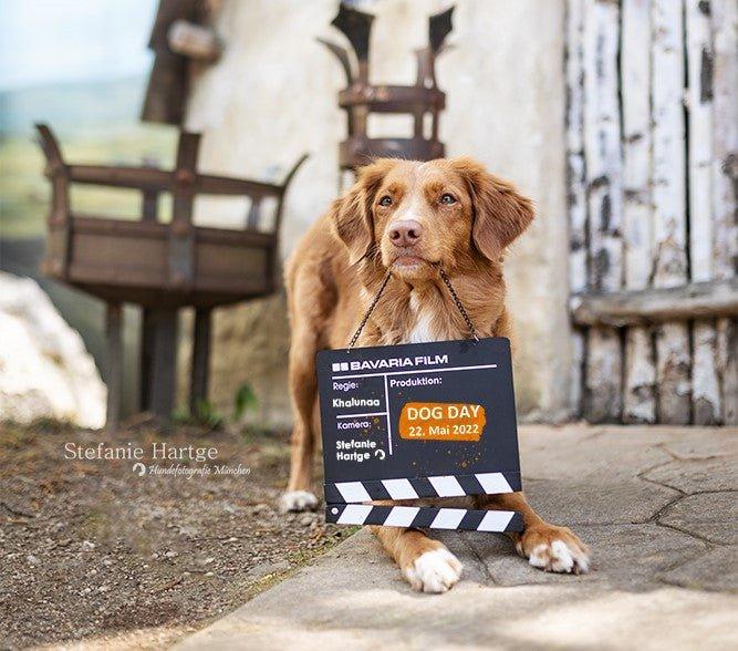 DOG DAY 2022 IN DER BAVARIA FILMSTADT - KOCH