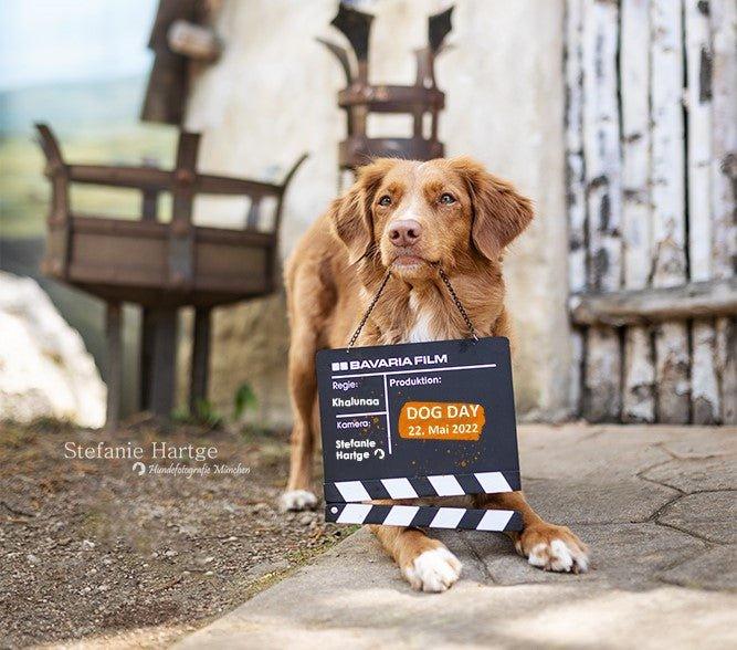 DOG DAY 2022 IN DER BAVARIA FILMSTADT - KOCH