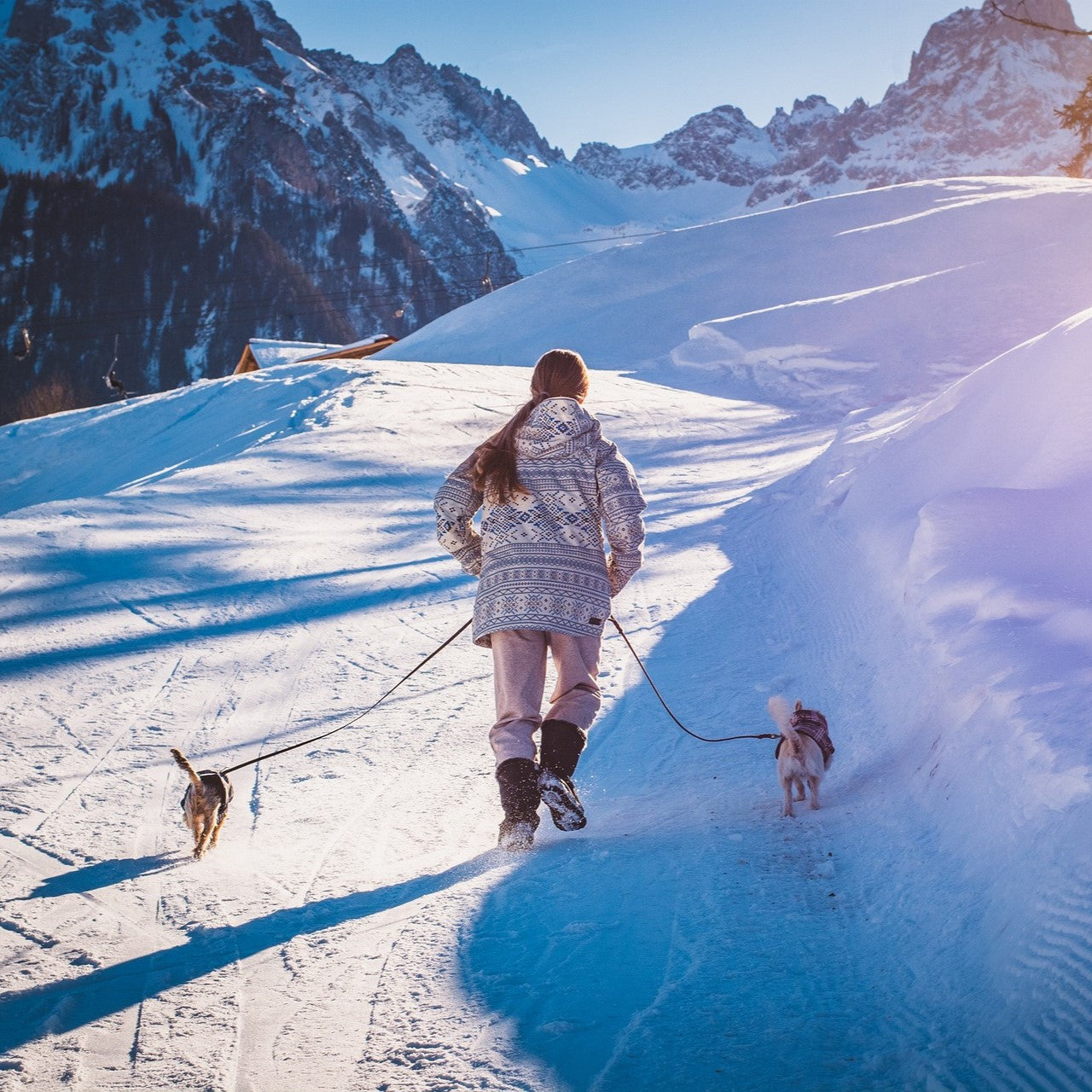 Winterurlaub mit Hund – die besten Tipps für eine unvergessliche Zeit
