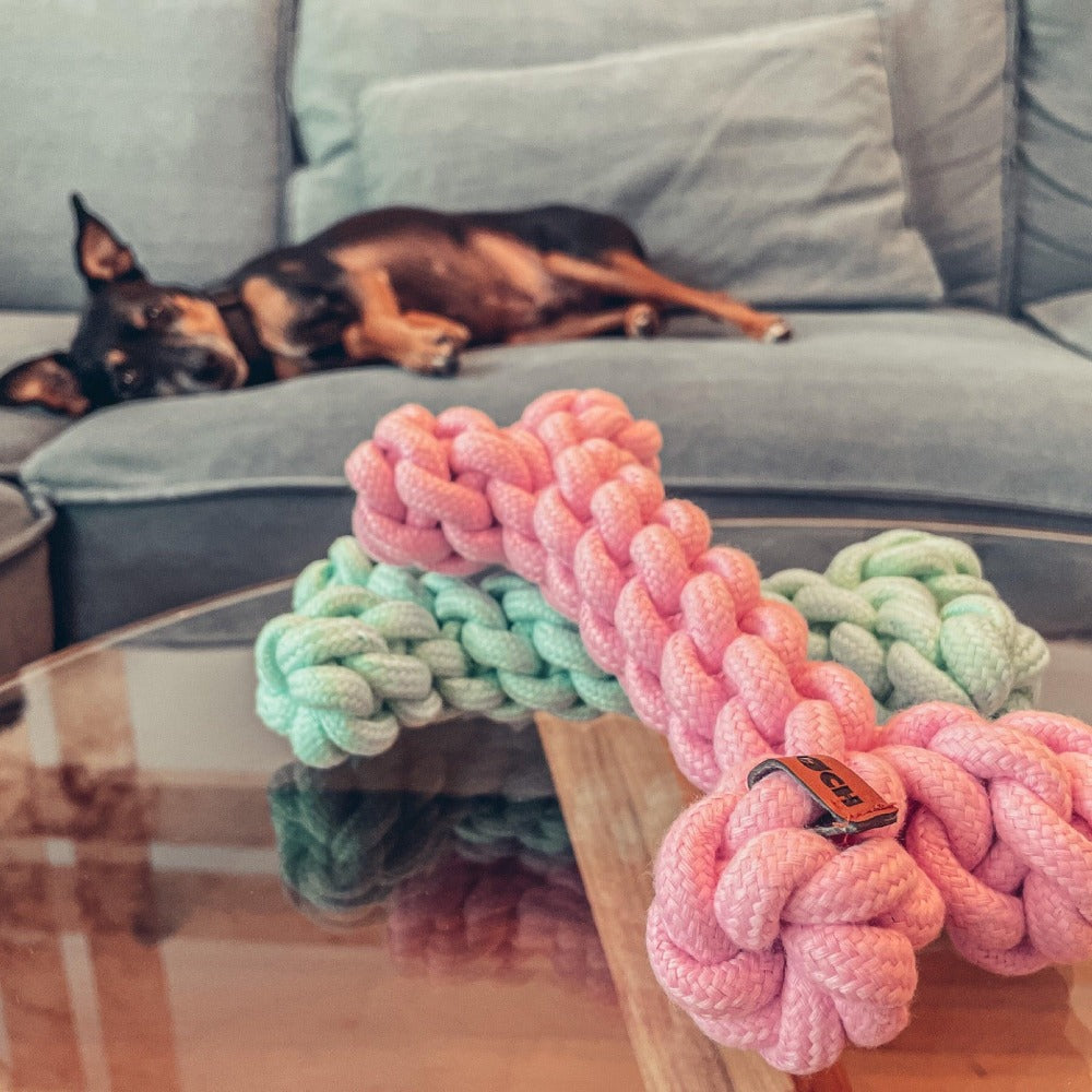 KOCH Boney Bone Hundespielzeug Knochen