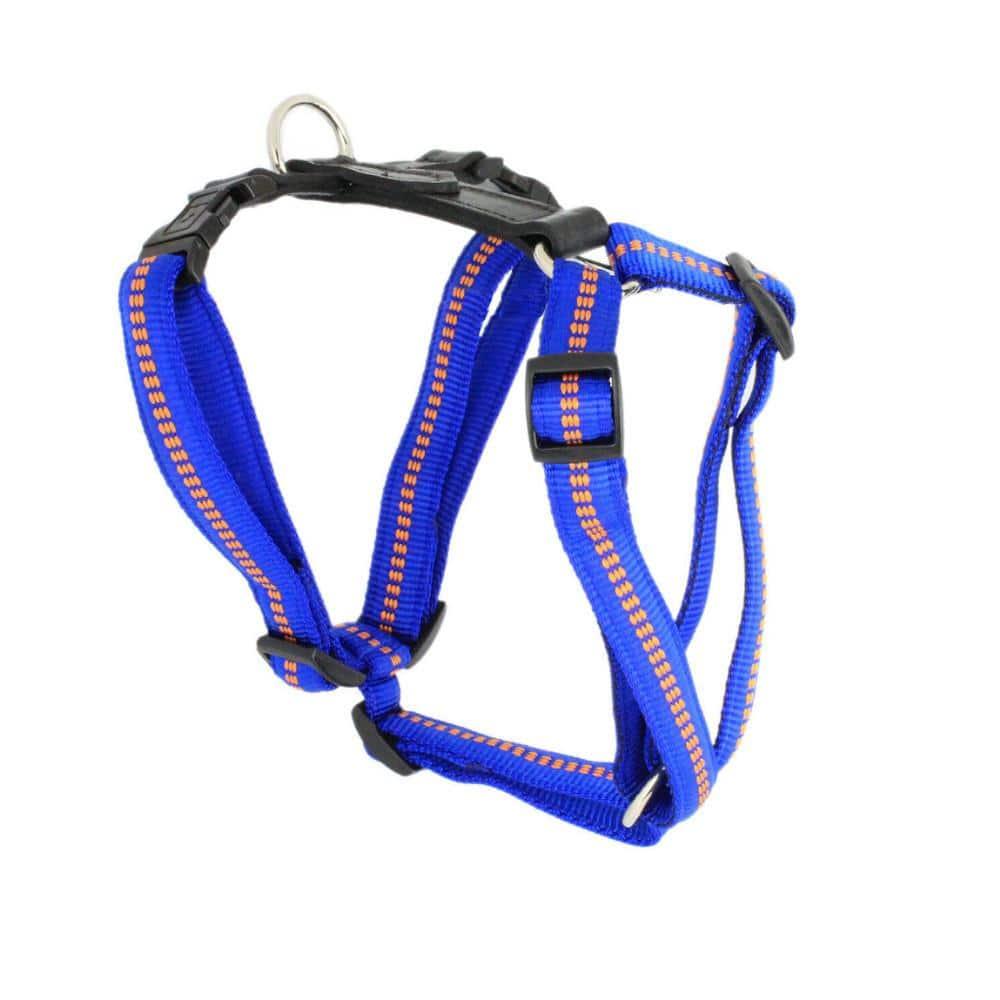 KOCH G-Adventure Hundegeschirr mit Leder & gepolstertem Nylon blau #farbe_blau