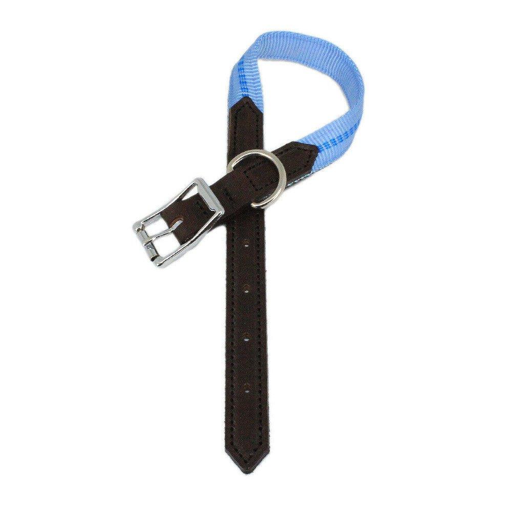 KOCH G-Adventure Hundehalsband mit Leder & gepolstertem Nylon hellblau #farbe_hellblau