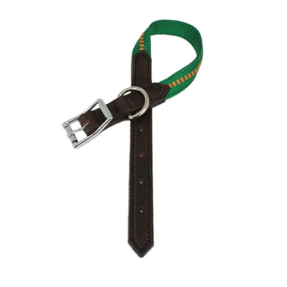 KOCH G-Adventure Hundehalsband mit Leder & gepolstertem Nylon grün #farbe_grün