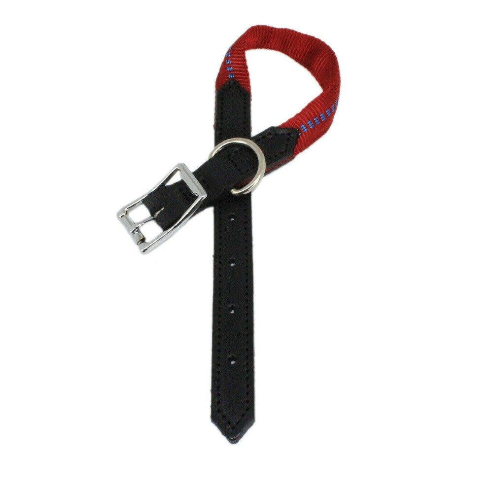 KOCH G-Adventure Hundehalsband mit Leder & gepolstertem Nylon rot #farbe_rot