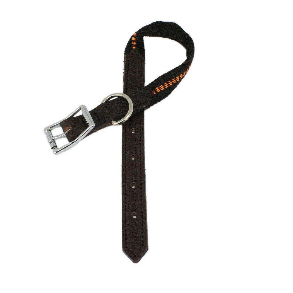 KOCH G-Adventure Hundehalsband mit Leder & gepolstertem Nylon schwarz #farbe_schwarz