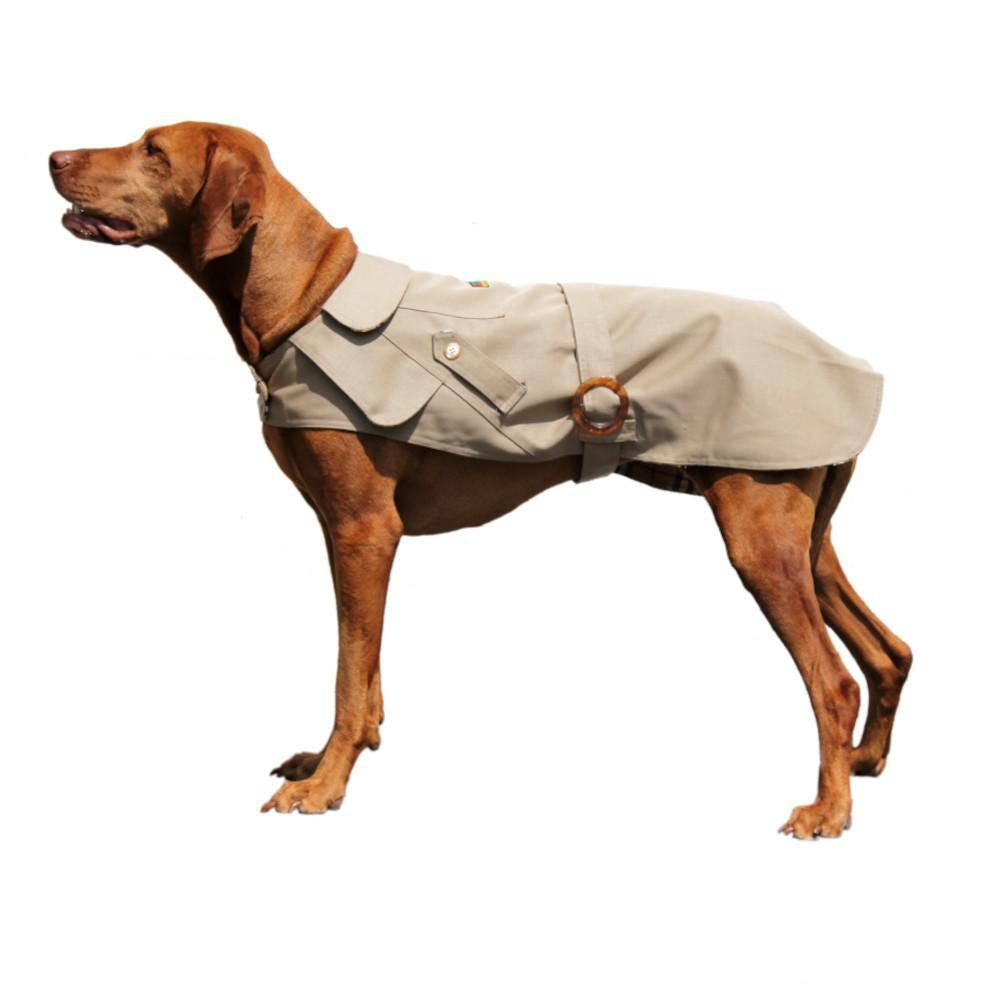 KOCH Hundetrenchcoat "Sherlock"