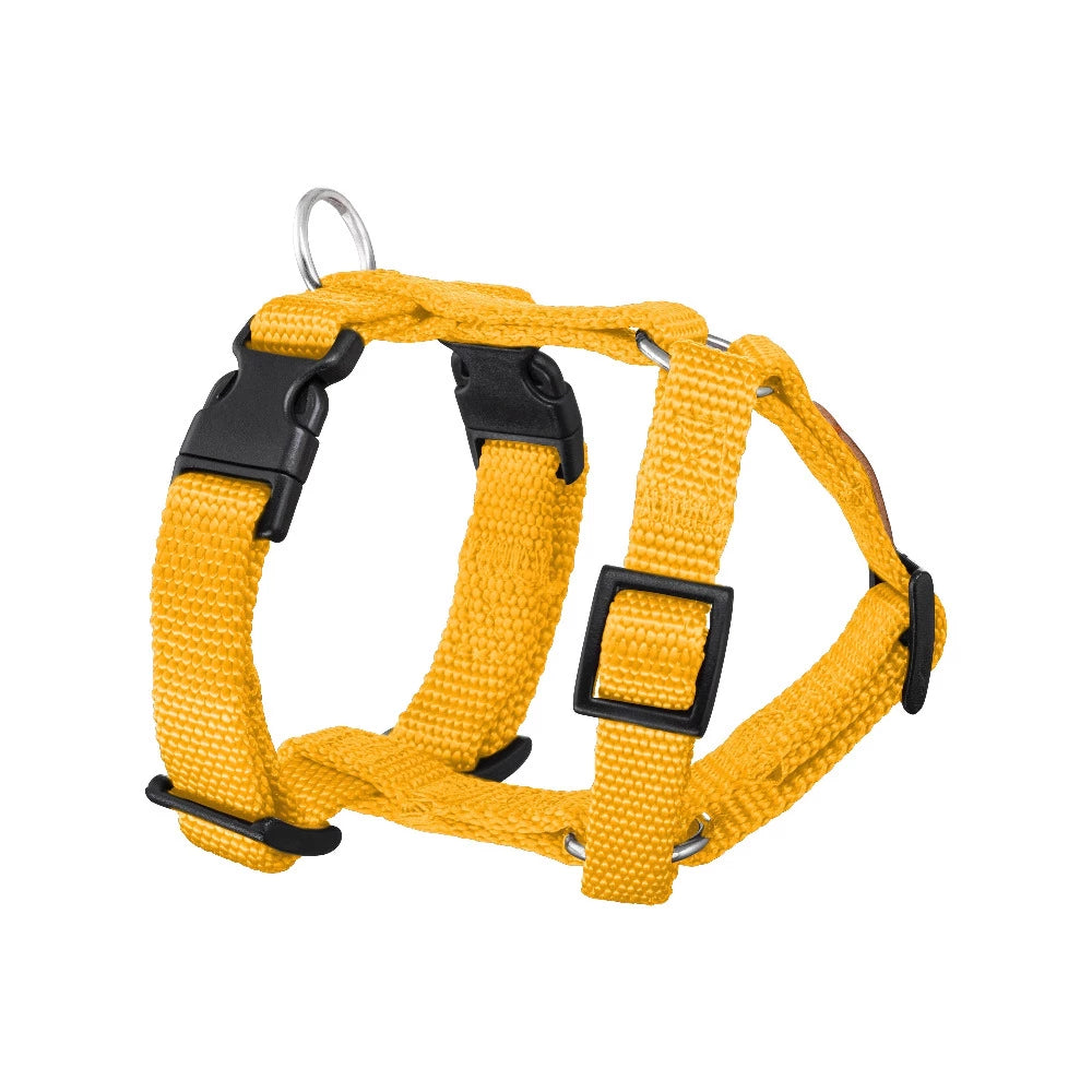 KOCH Mini Hundegeschirr gelb #farbe_gelb