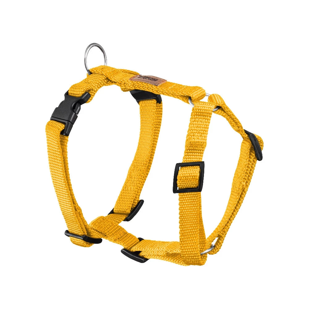 KOCH Mini Hundegeschirr gelb #farbe_gelb