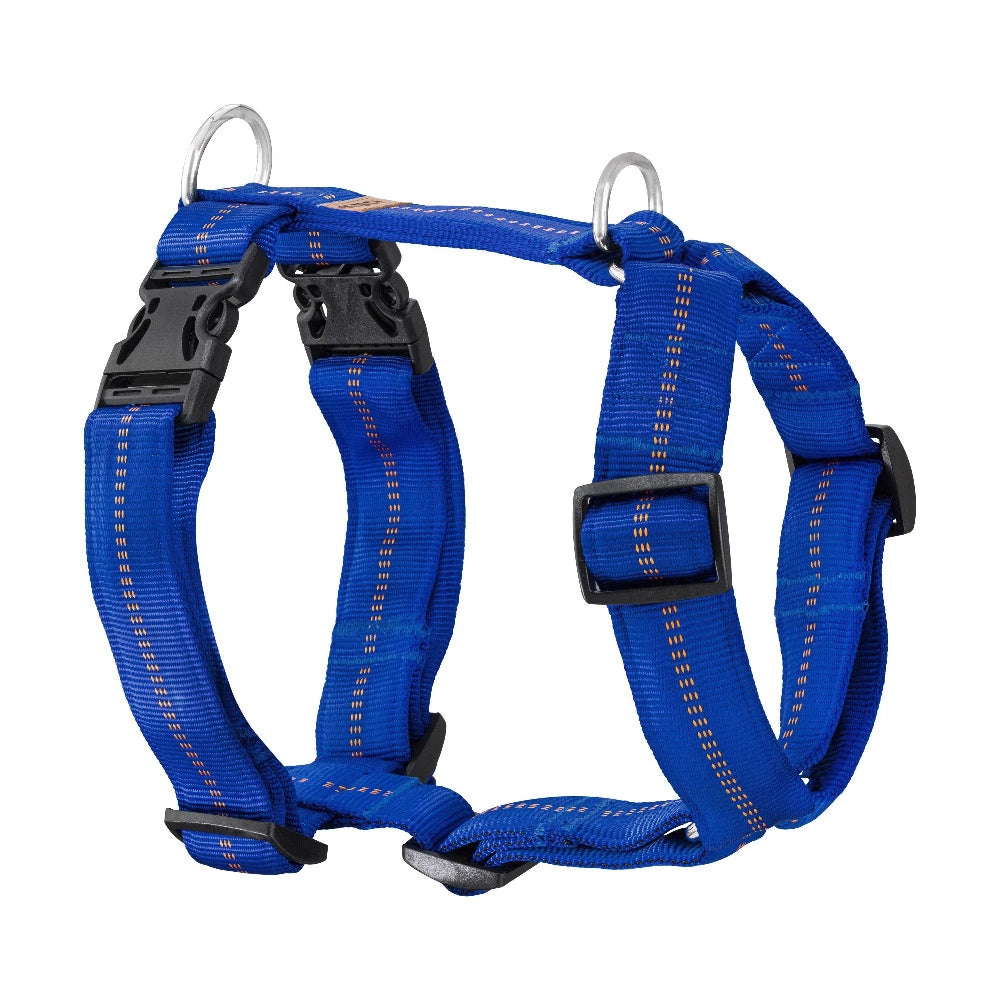 KOCH Premium Hundegeschirr gepolstert extrabreit 40mm blau mit Kennfäden #farbe_blau mit Kennfäden