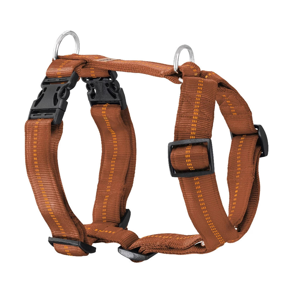 KOCH Premium Hundegeschirr gepolstert extrabreit 40mm kupfer mit Kennfäden #farbe_kupfer mit Kennfäden