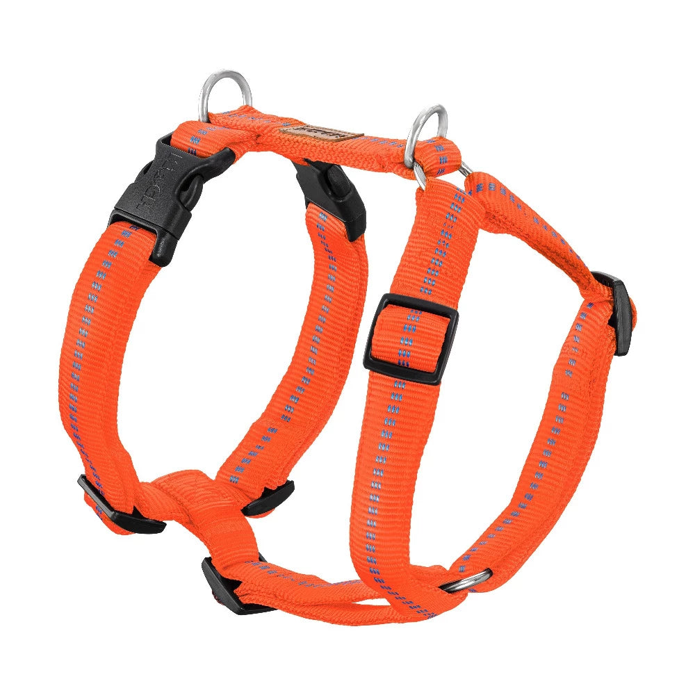 KOCH Premium Hundegeschirr gepolstert | Kennfäden leuchtorange #farbe_leuchtorange