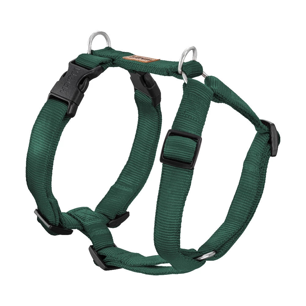 KOCH Premium Hundegeschirr gepolstert grün #farbe_grün