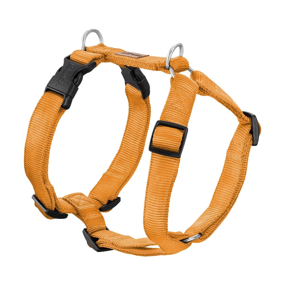 KOCH Premium Hundegeschirr gepolstert gold #farbe_gold