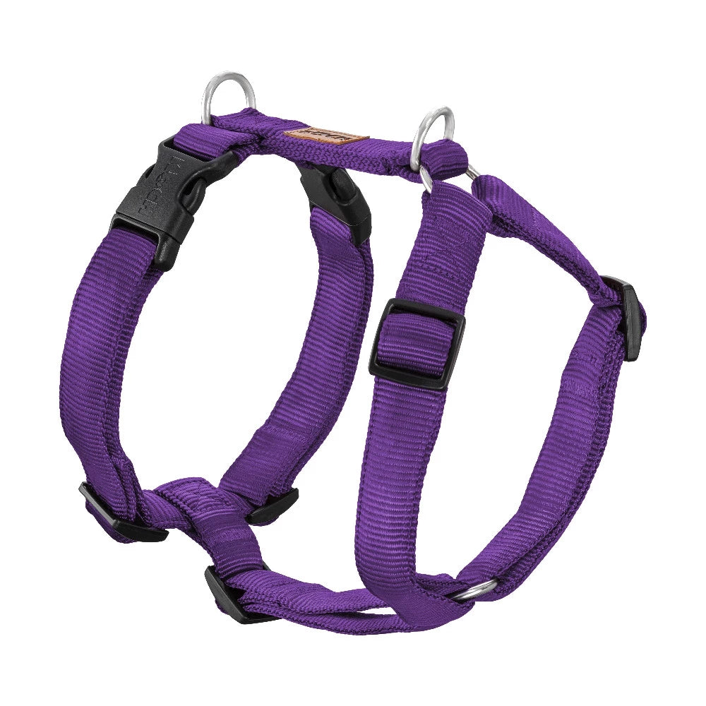 KOCH Premium Hundegeschirr gepolstert lila #farbe_lila