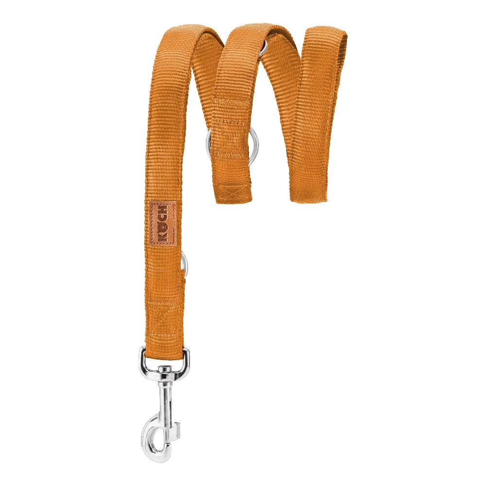 KOCH Premium Hundeleine gepolstert 2 & 3 Meter verstellbar gold #farbe_gold