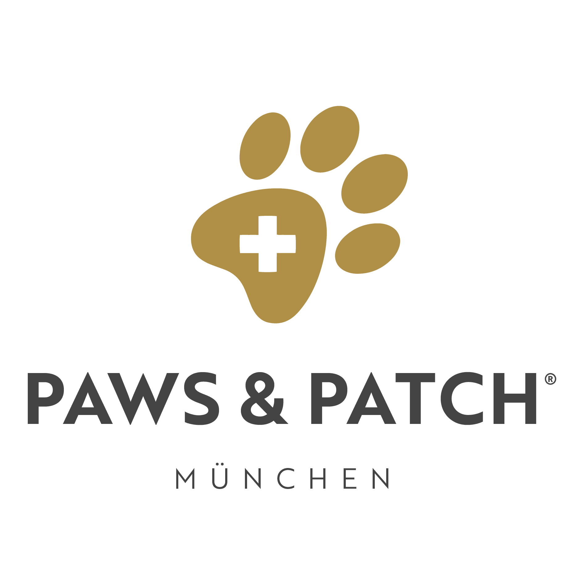 PAWS & PATCH - KOCH
