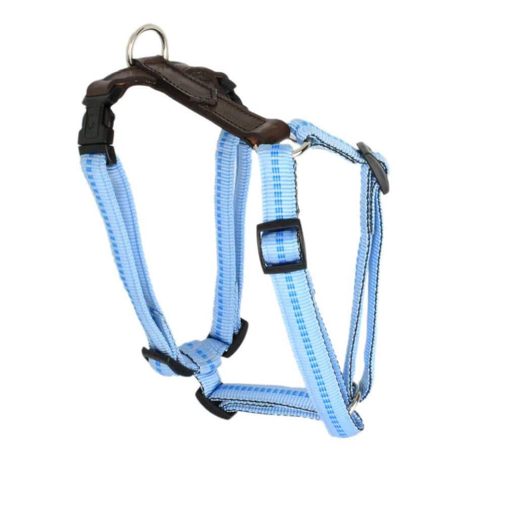 KOCH G-Adventure Hundegeschirr mit Leder & gepolstertem Nylon hellblau #farbe_hellblau